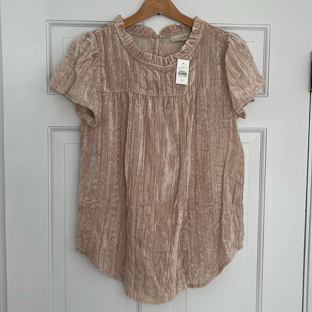 LOFT Beige Short Sleeve Crushed Velvet Blouse